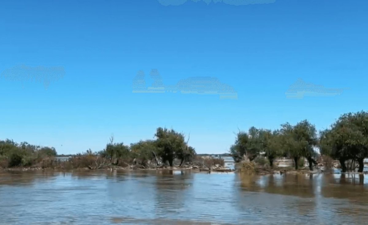 Атырау облысының екі ауданында Жайықтағы су деңгейі төмендеді – ТЖМ