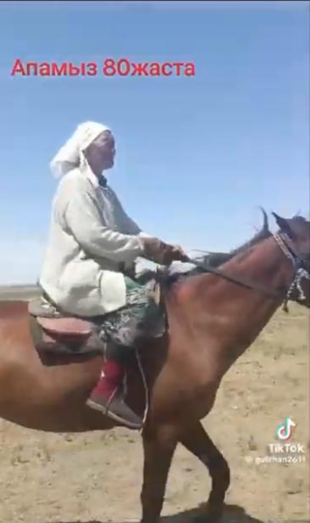 «Міне, нағыз қазақтың кейуанасы»: 80 жаста ат құлағында ойнаған әже желі қолданушыларын тәнті етті