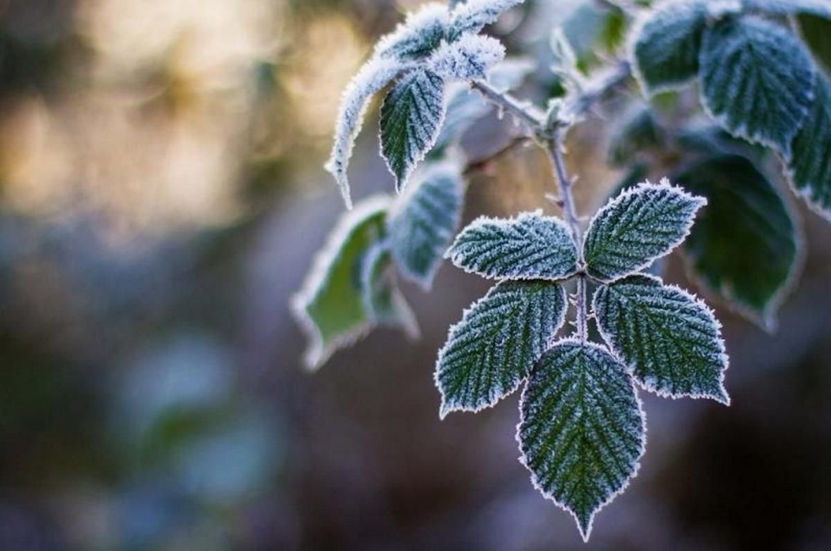 Елімізде күн қайта суытады