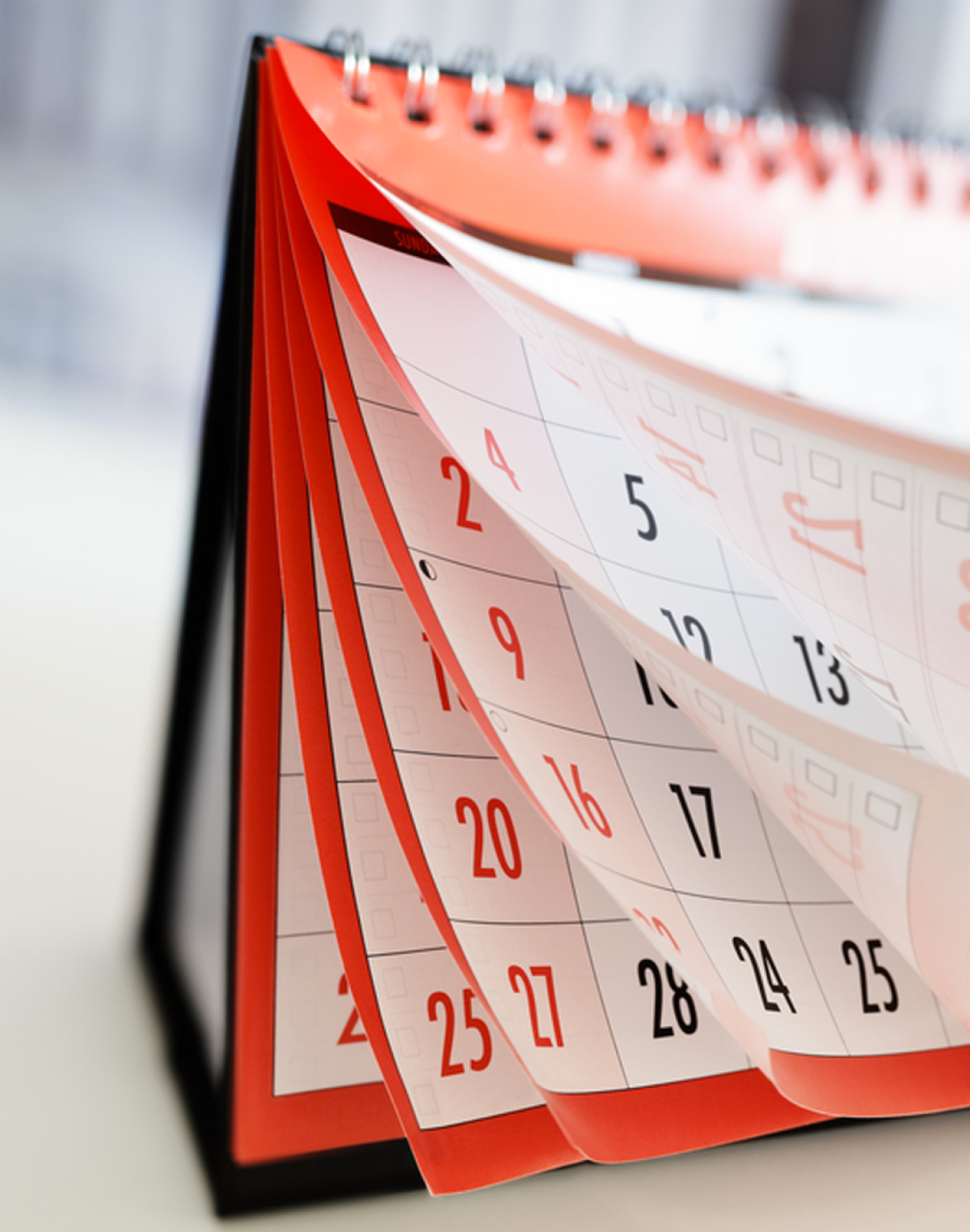 Қазақстанда жаңа мереке пайда болады