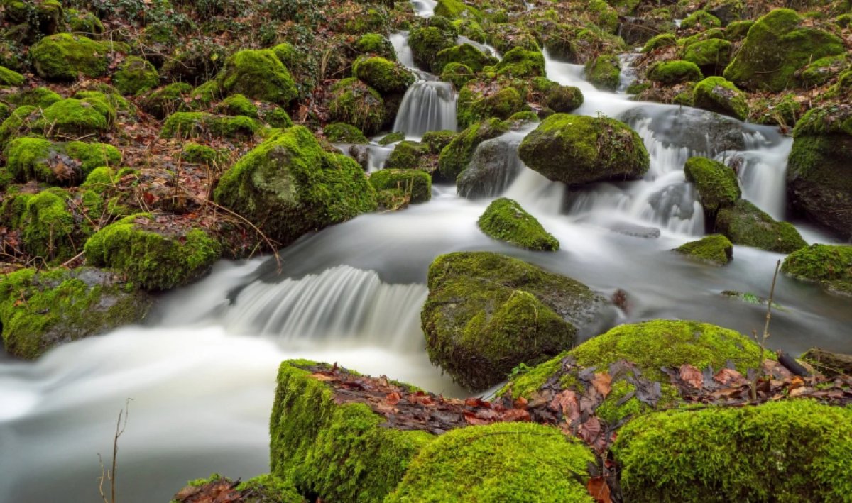 О возможных подтоплениях предупредили в двух регионах страны