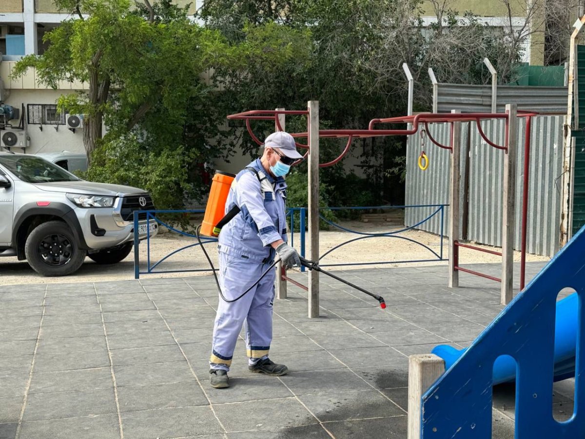 Ақтауда ойын алаңдарында дезинсекция жұмыстары жүргізіледі