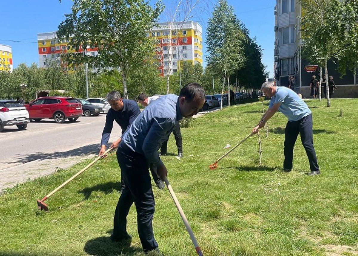 Астанада экоакция кезінде 500 тоннадан астам қоқыс шығарылды