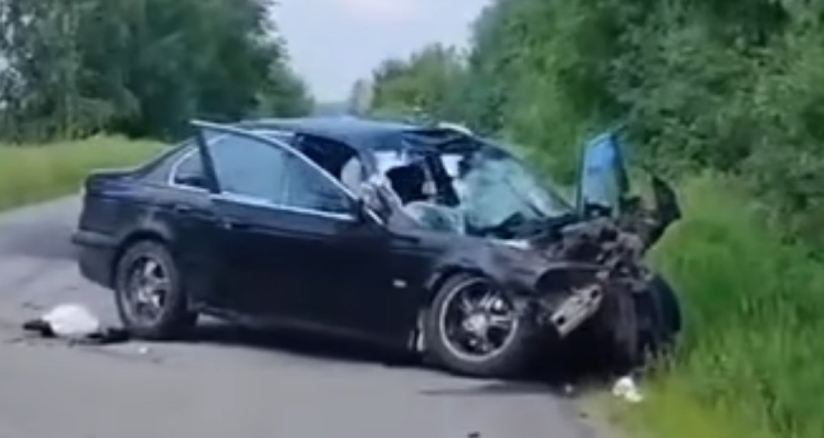 Всадник с лошадью погибли в результате ДТП на трассе в СКО