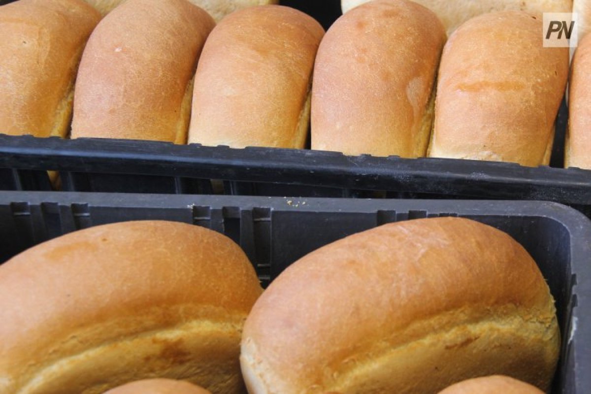 Егеуқұйрық жүрген: Павлодарда нан сататын дүңгіршектің иесі айыппұл төлейді