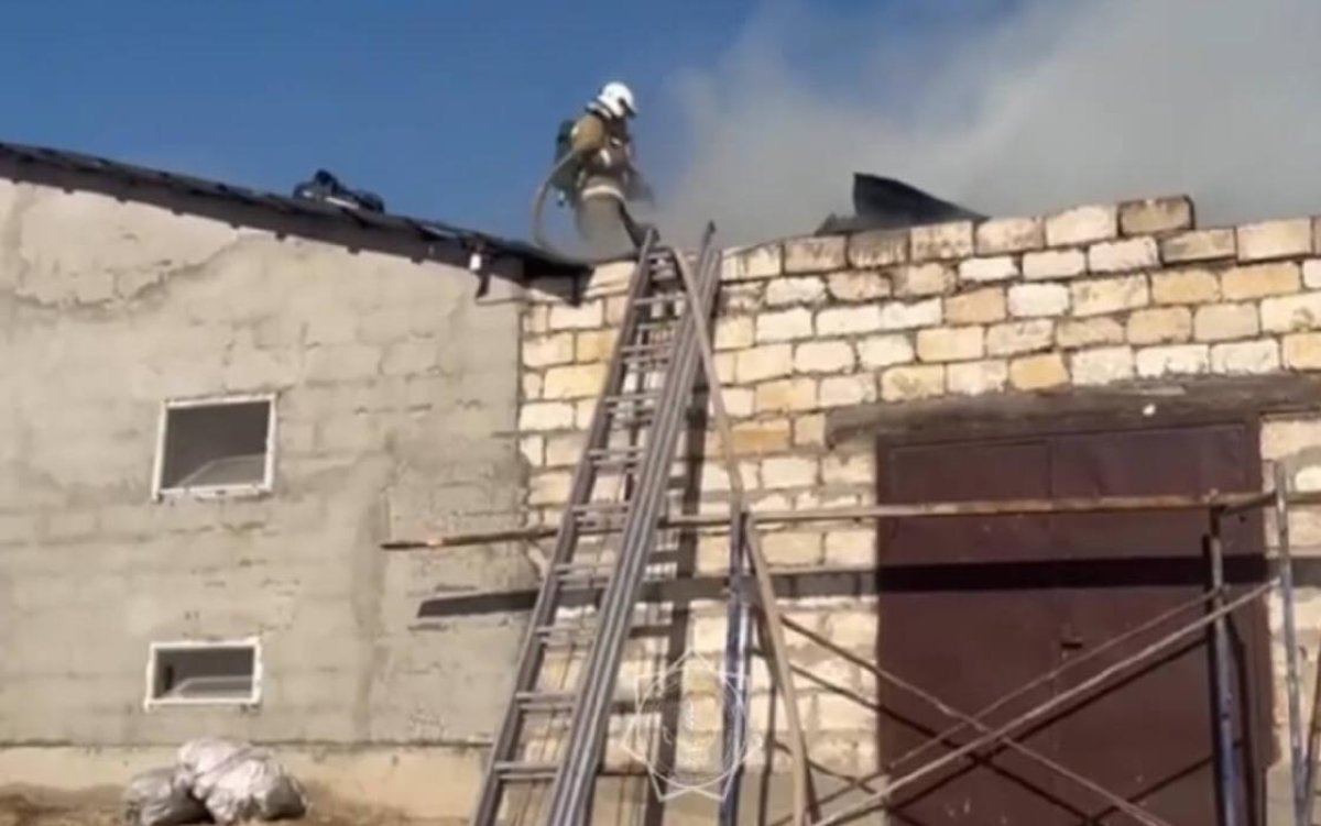 Қызылорда облысында мал қорасы өртенді