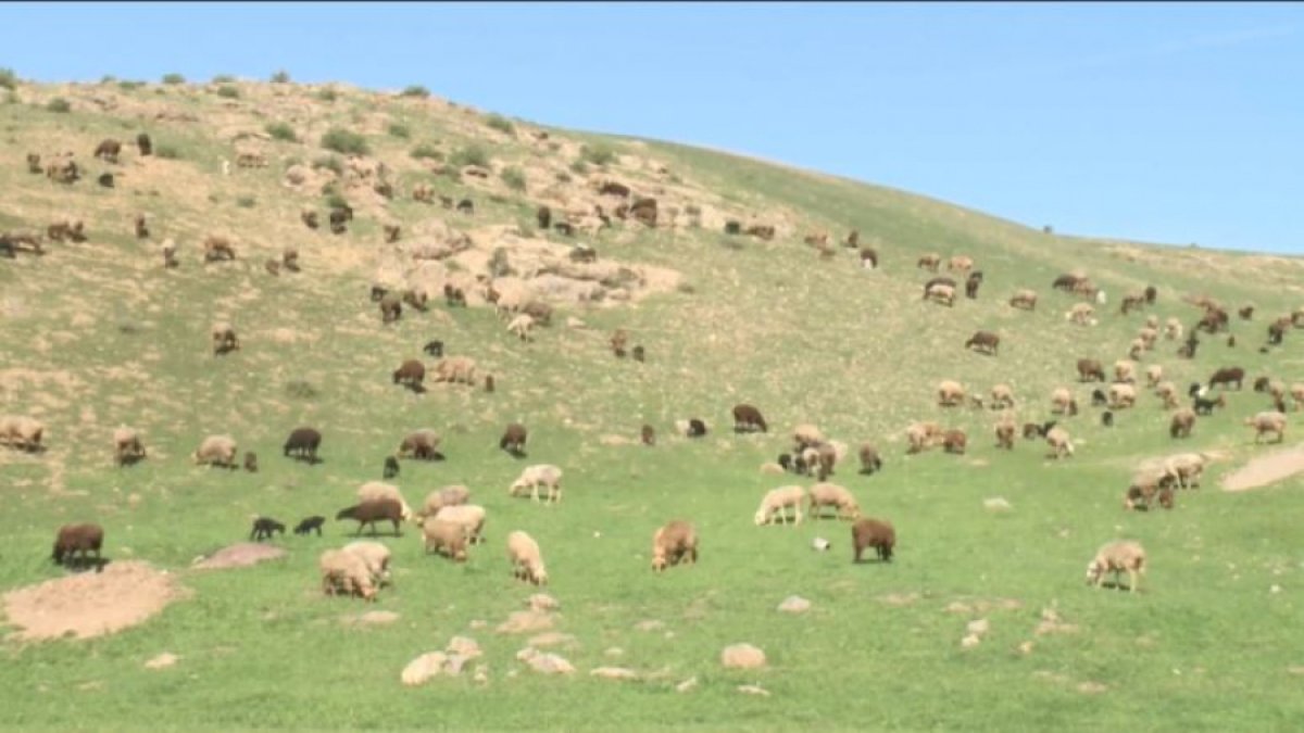 Жігіттің белдікпен трафарет болғанын қараңыз