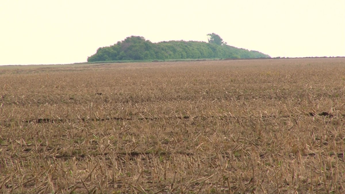 «Су тапшылығы болмайды»,- Н. Алдамжаров