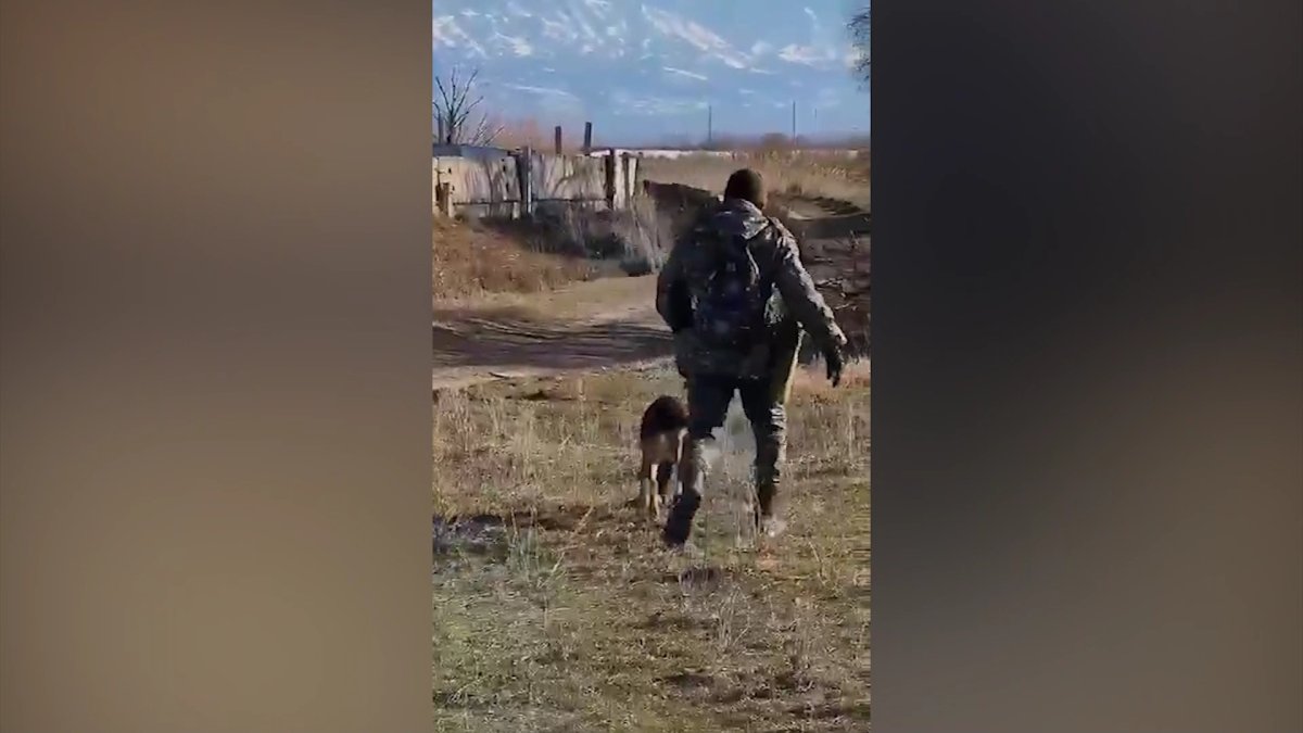 Алматы облысында үш ай бұрын жоғалып кеткен 3 жасар қыз әлі табылмай жатыр