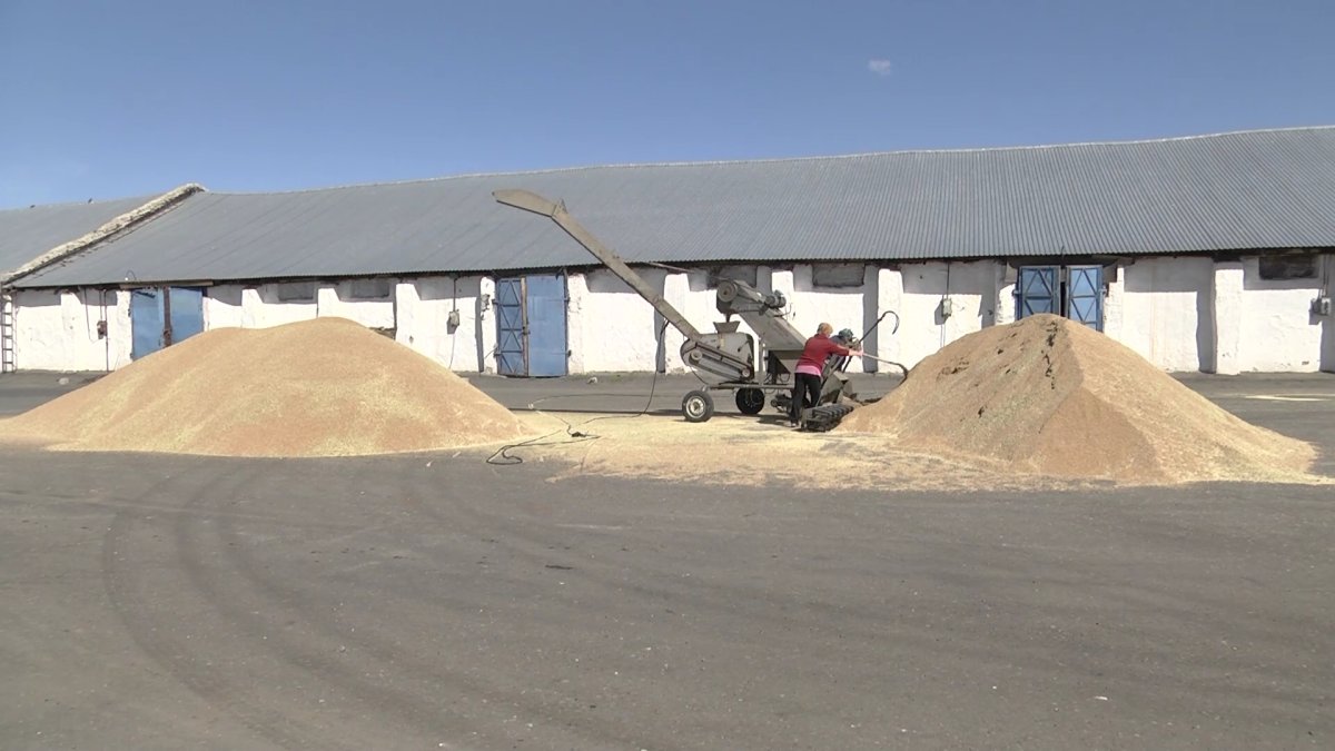 Павлодарда жалған есеп қисап құжат жасаған диқандар сотталды