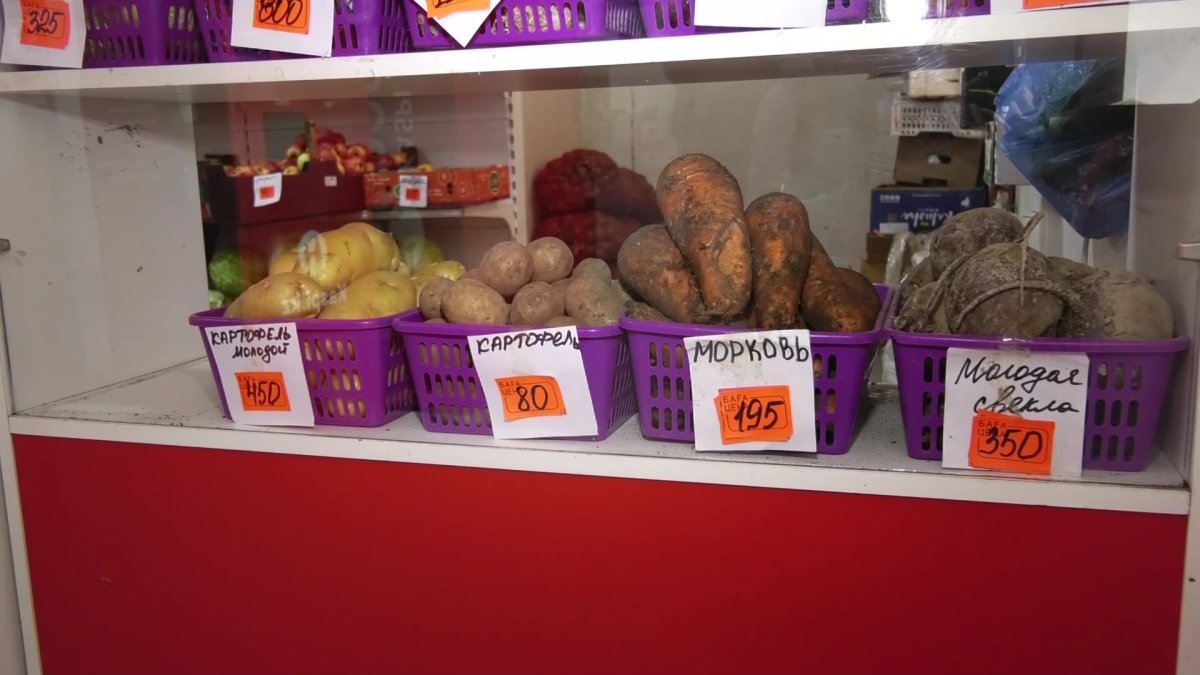 Павлодарда жаңа піскен көкөніс өнімдері 15 пайызға қымбаттады