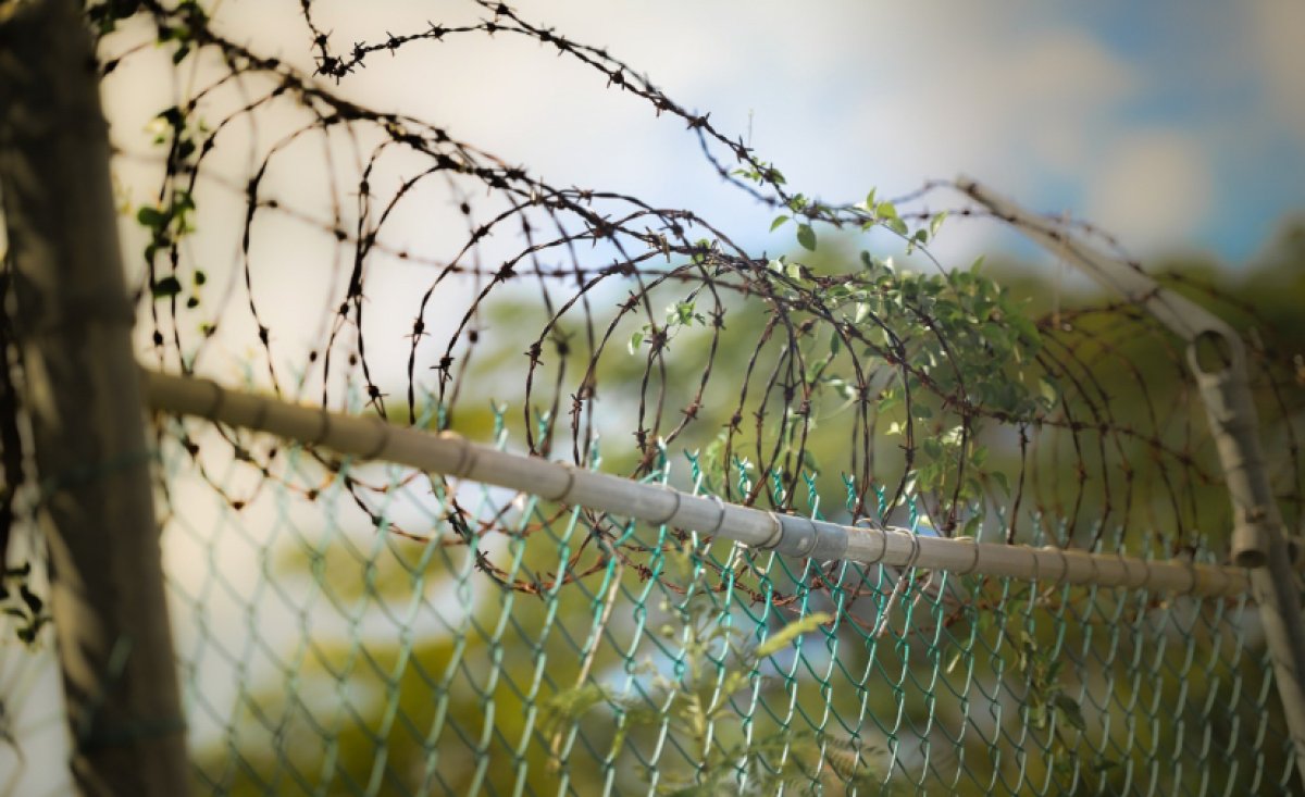 Казахстанского комика арестовали за пьяный дебош в самолете