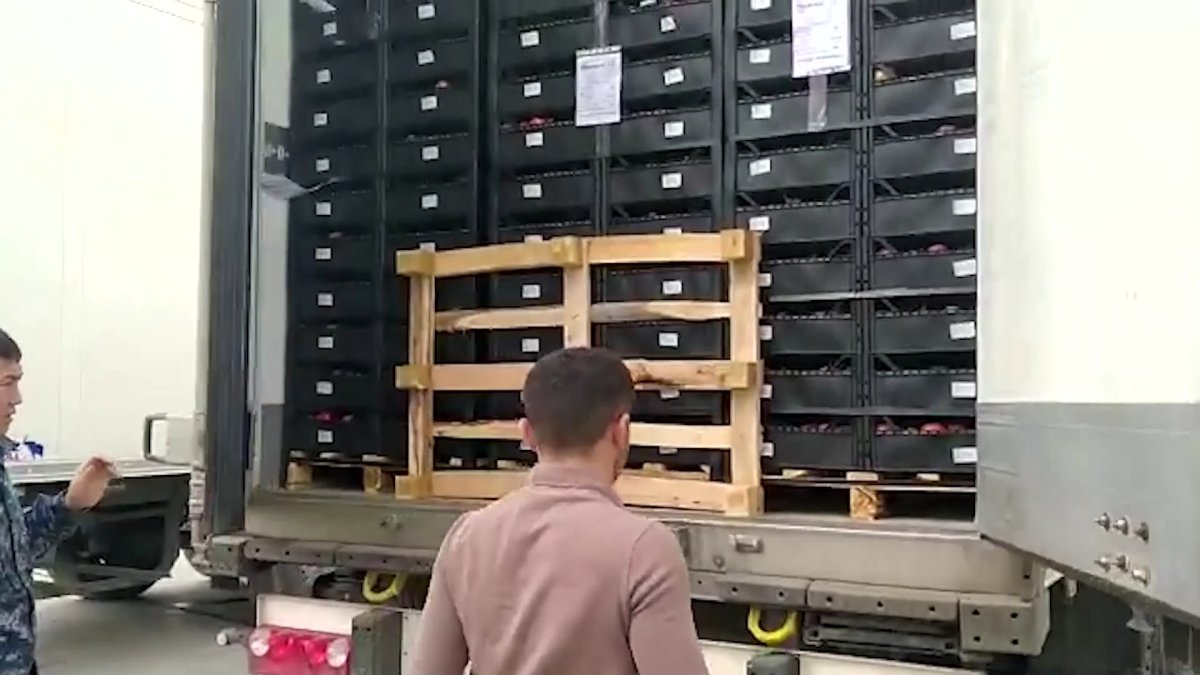 60 тонна қызанақтан қауіпті вирус табылды