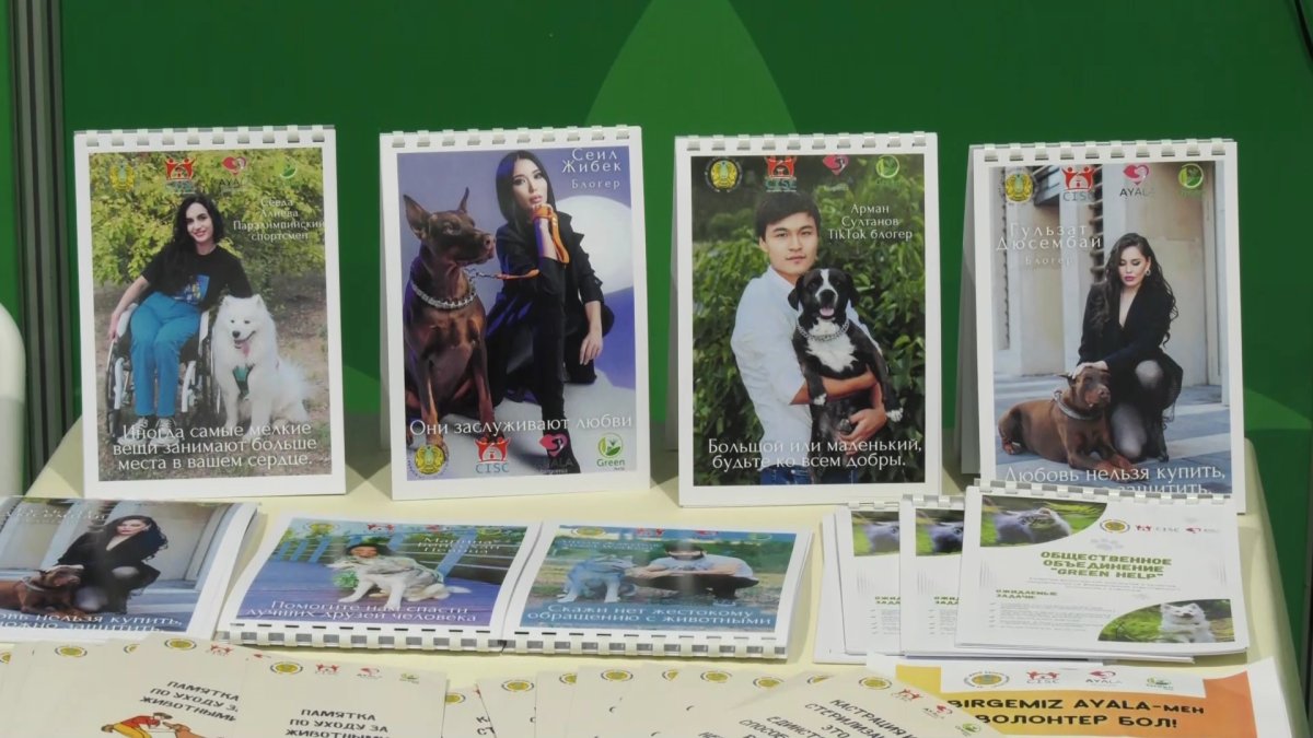 Алғаш рет оқушылар арасында экофестиваль өтті