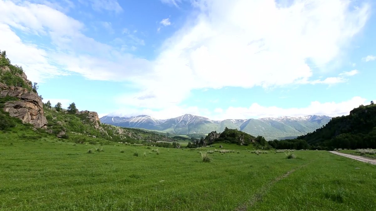 «АМАNАТ» партиялық бақылау департаментінің мүшелері орманшылармен кездесті