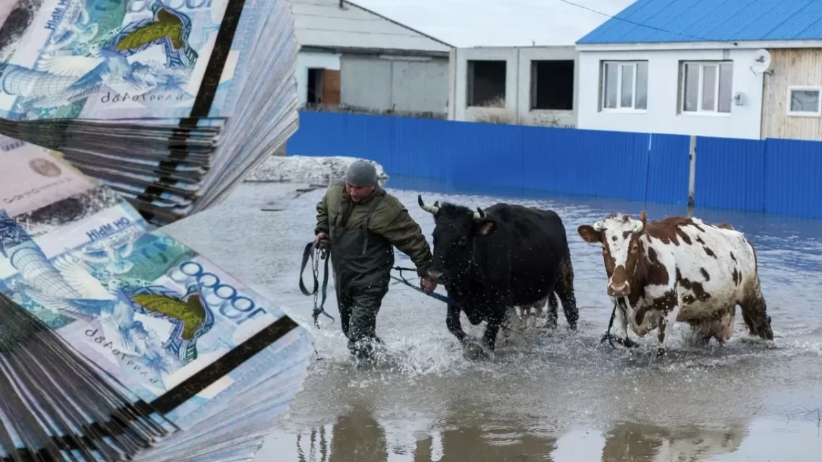 Су тасқынынан қырылған мал шығыны 100% өтелді