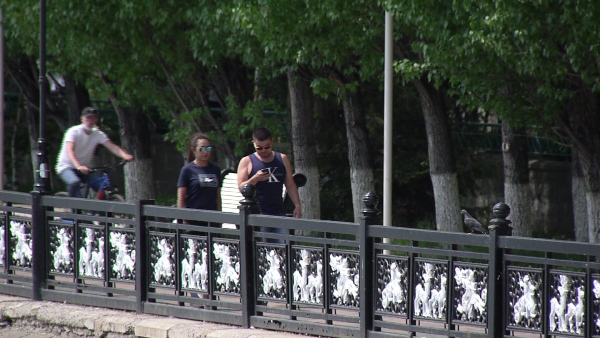 Астана қаласында маса мен шіркей қаптады