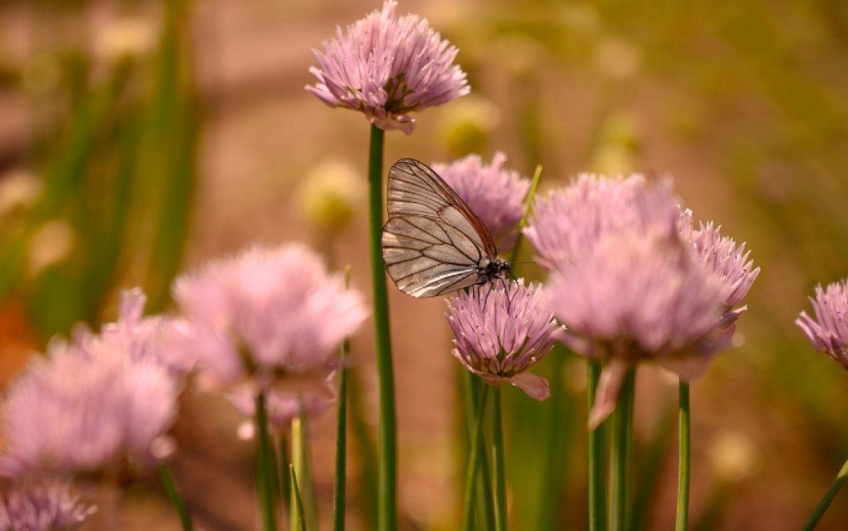 О погоде на выходных рассказали синоптики