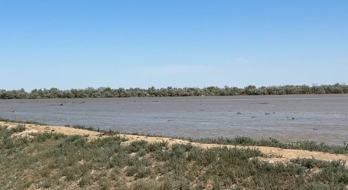 На дамбах в Атырауской области усилена безопасность из-за сильного ветра