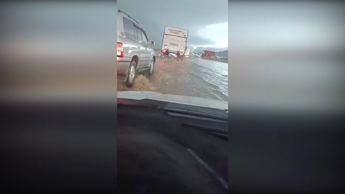 Жамбыл облысында қатты желден 3 адам ауруханаға түсті