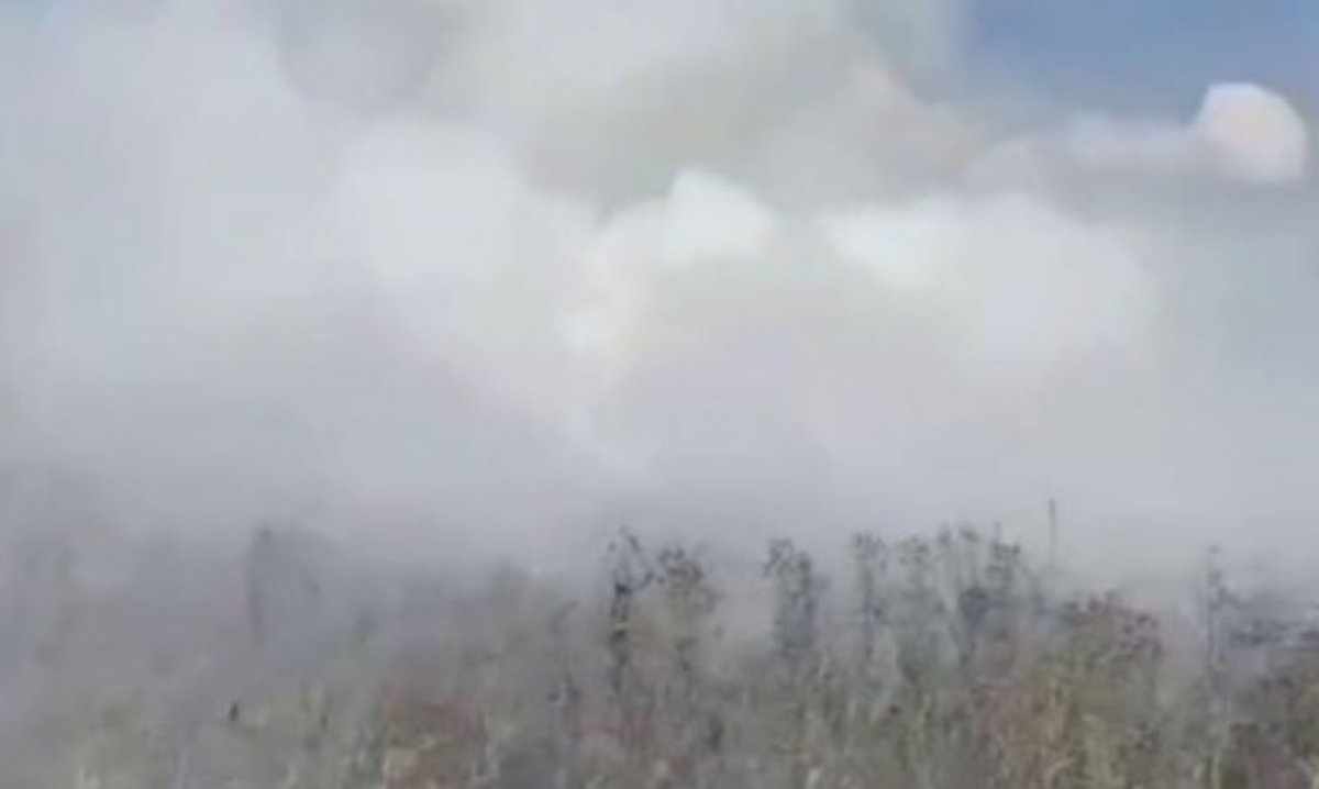 Астанада Талдыкөл аймағында құрғақ шөп пен қамыс өртеніп жатыр