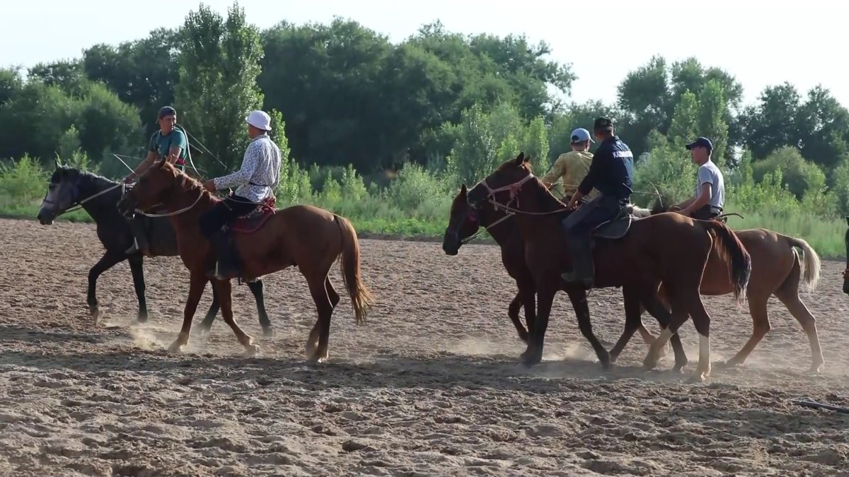 Сильнейшие спортсмены по жамбы ату готовятся к V Всемирным играм кочевников