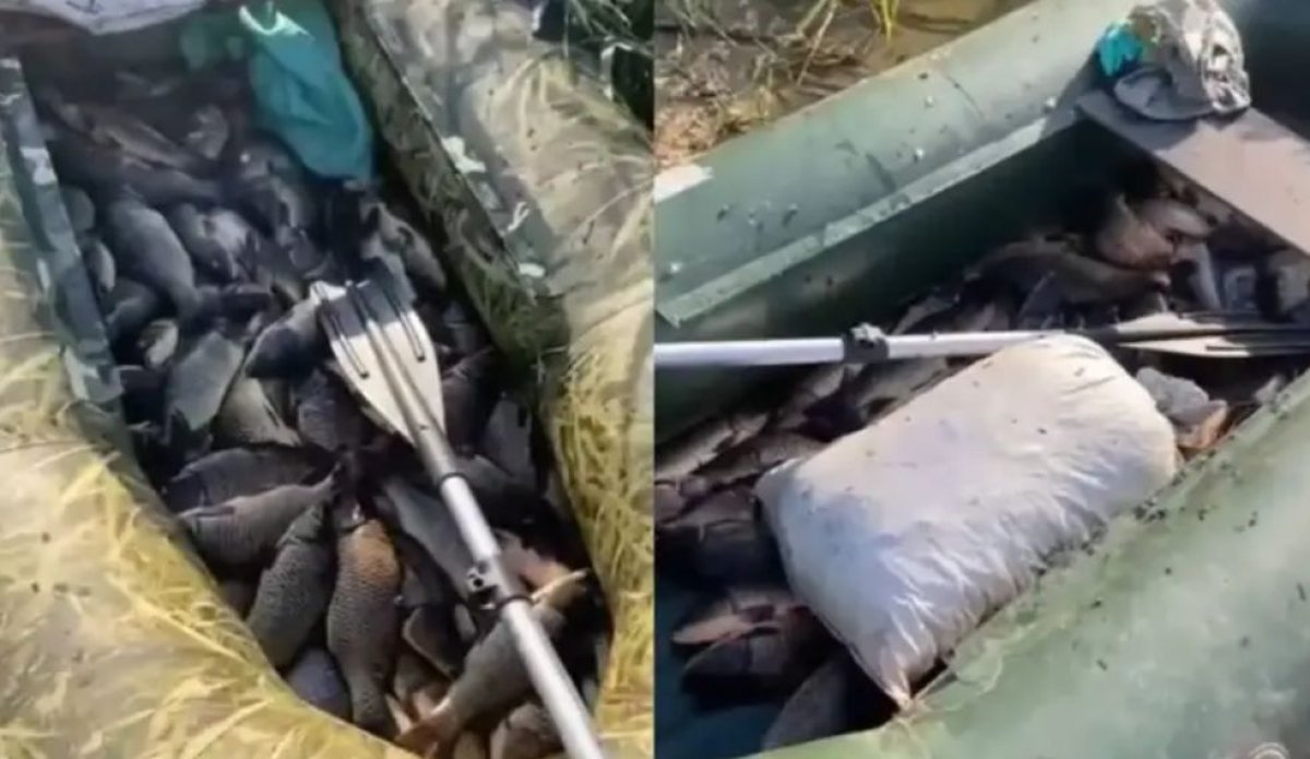 Ақтөбе облысында заңсыз балық аулаған браконьерлер ұсталды