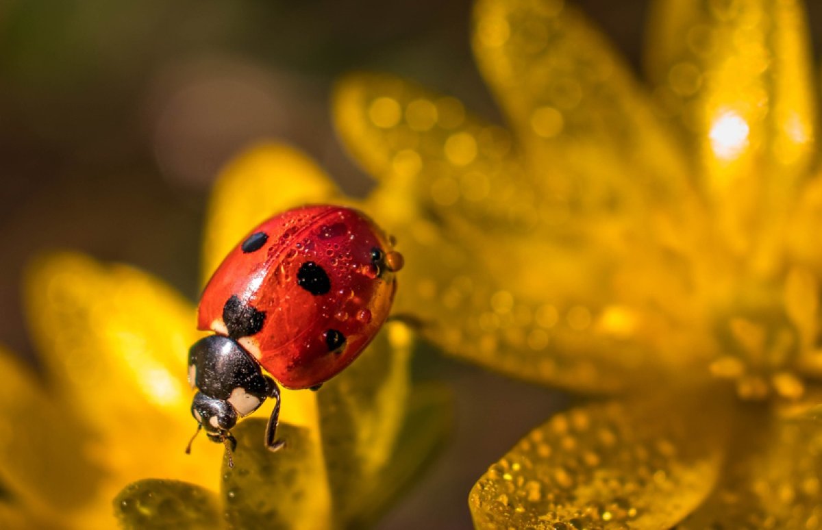 Дождь с грозой - в Астане, сильная жара - в Алматы и Шымкенте: прогноз погоды на 29 июля