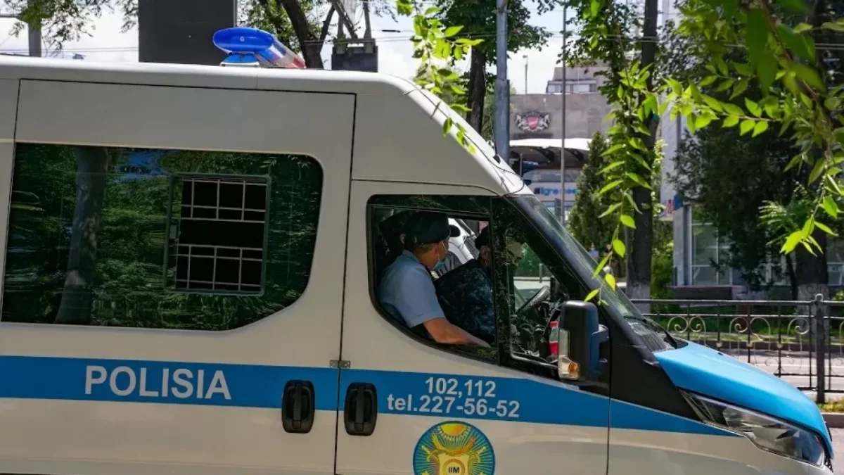 Алматы облысында ұлы әкесін балтамен ұрып өлтірді