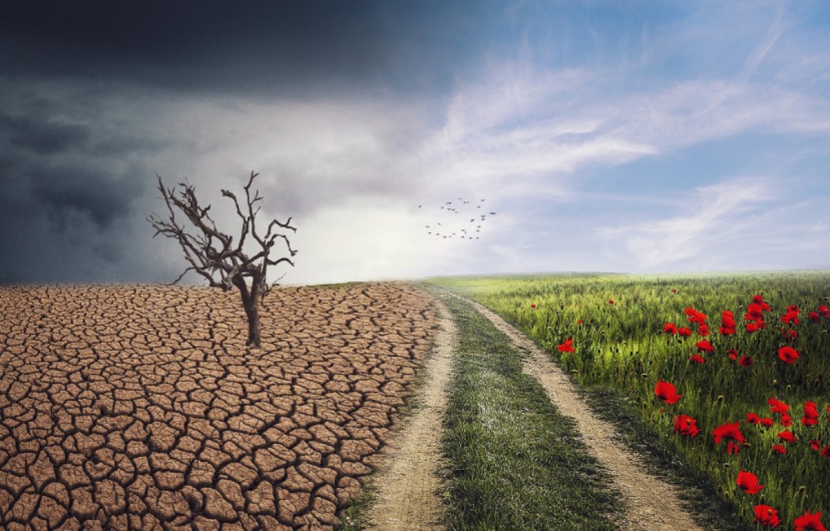 Региональный климатический саммит пройдет в Казахстане под эгидой ООН в 2026 году