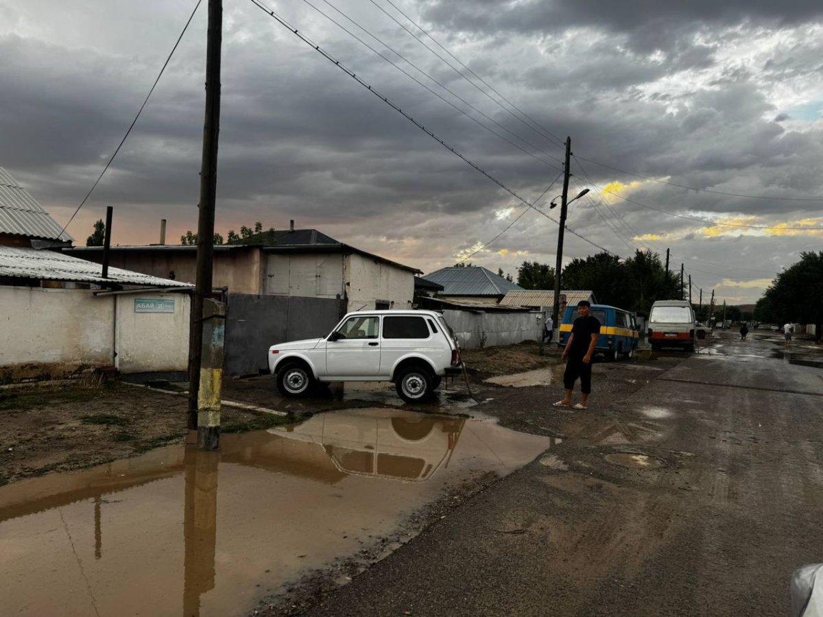 200 дворов в воде: сильный дождь прошел в Жамбылской области