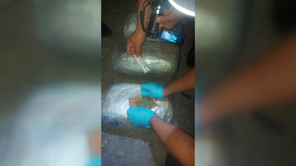 Қызылордада аса ірі көлемде марихуана тасымалдағандар ұсталды