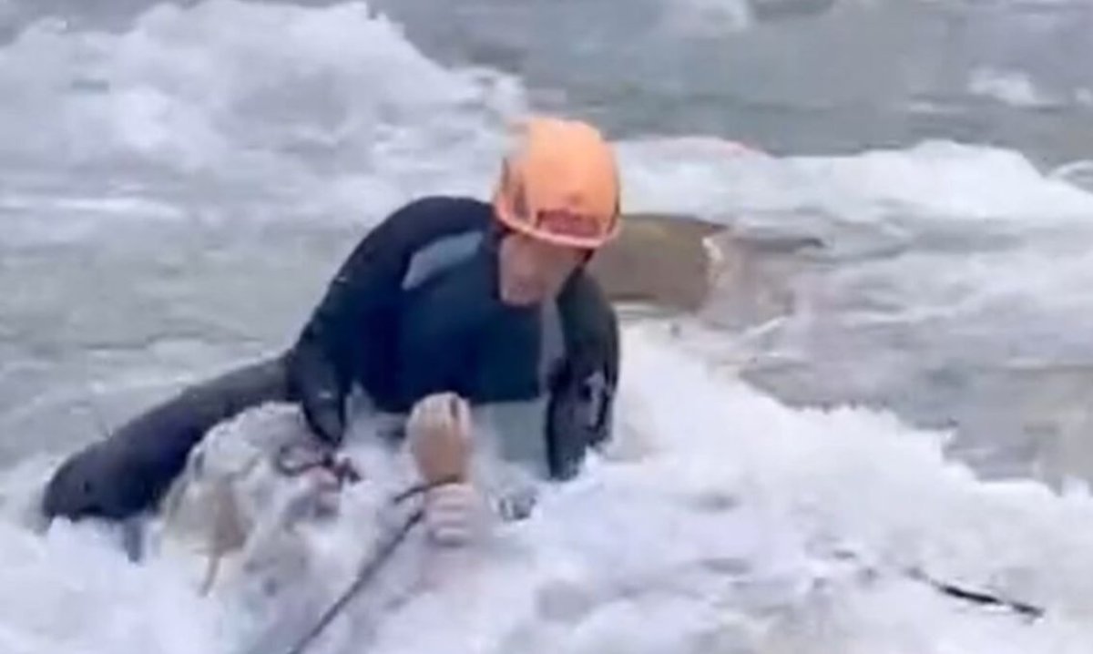 «Өзеннің қатты ағысы алып кеткен»: Қаскелеңде ер адам суға батып кетті