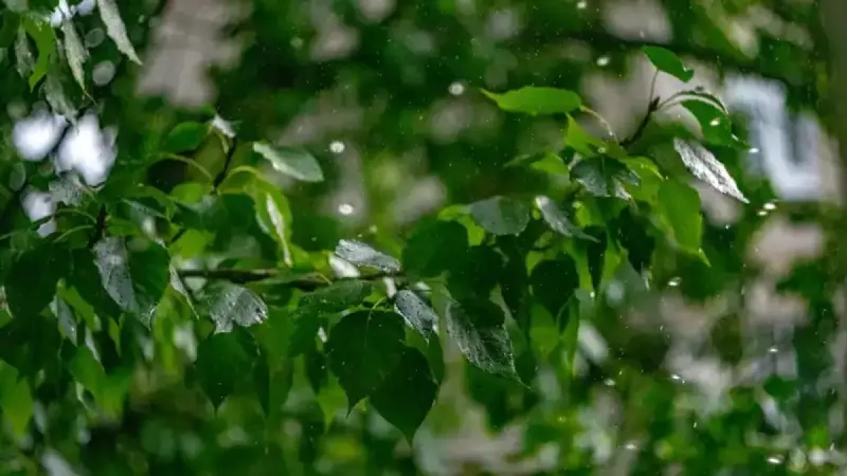 Солтүстік Атлантикалық циклон Қазақстанға келеді