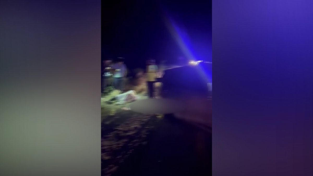 Один человек погиб, трое оказались на больничной койке в результате массового ДТП в Алматинской области