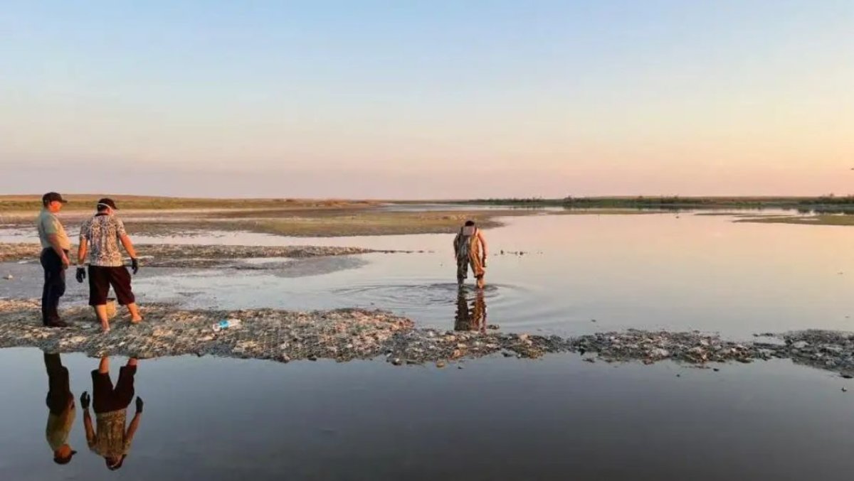 Батыс Қазақстанда Жезбұға көлінде балық қырылды