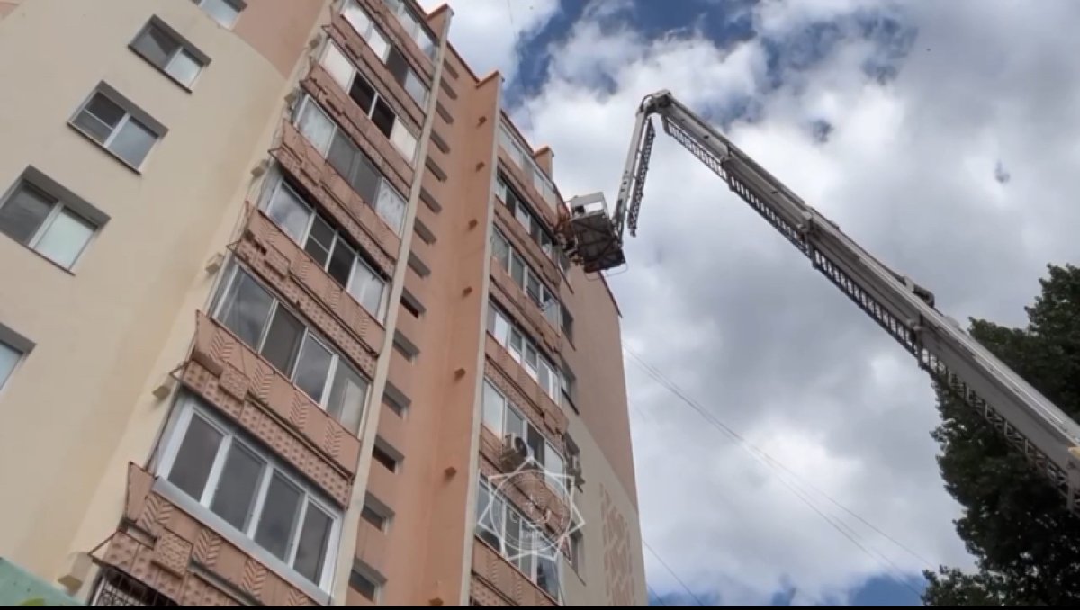 Огромное гнездо ос ликвидировали столичные спасатели