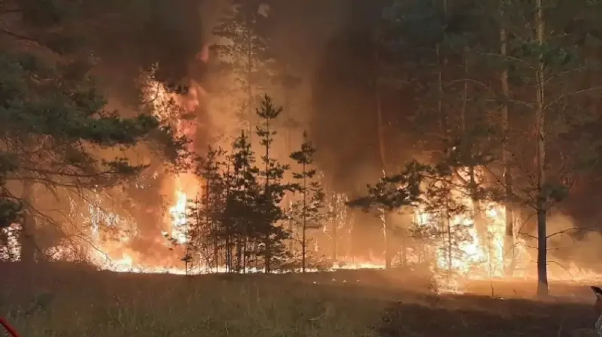 Ресейде орман өртіне байланысты төтенше жағдай режимі жарияланды