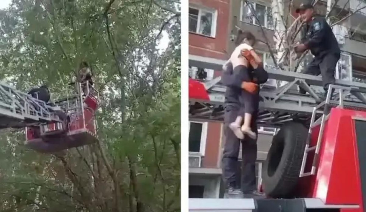 Өскеменде мысықты құтқарғысы келген қыз ағашқа шығып, одан түсе алмай қалды