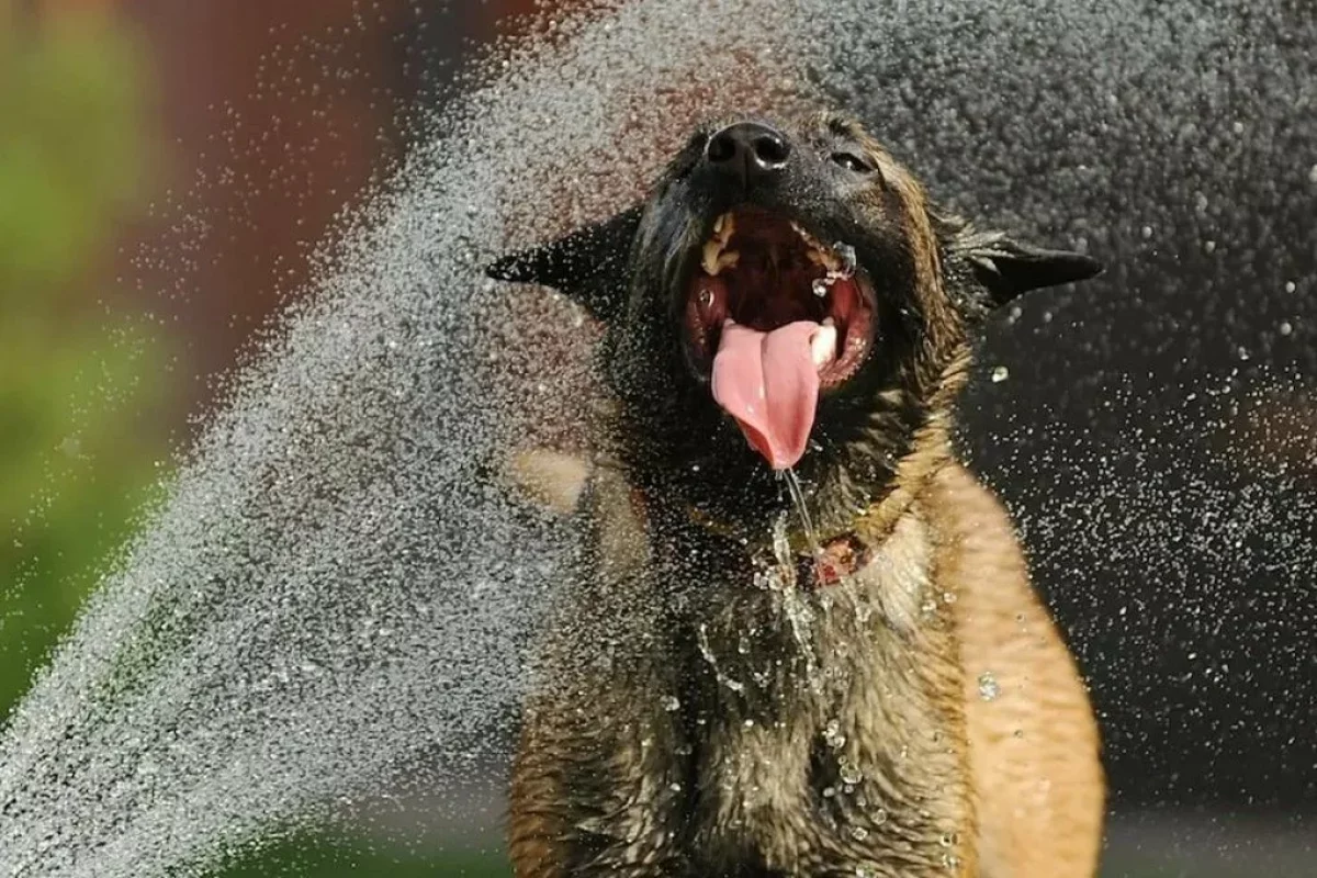 Неделю начинают сильные дожди и жара до +45°С