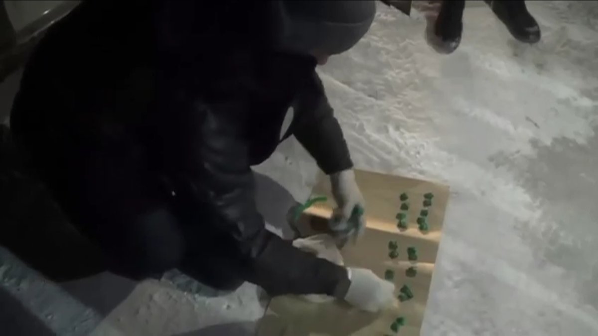 Ақтөбеде есірткі сатушылар 10 жылға сотталды