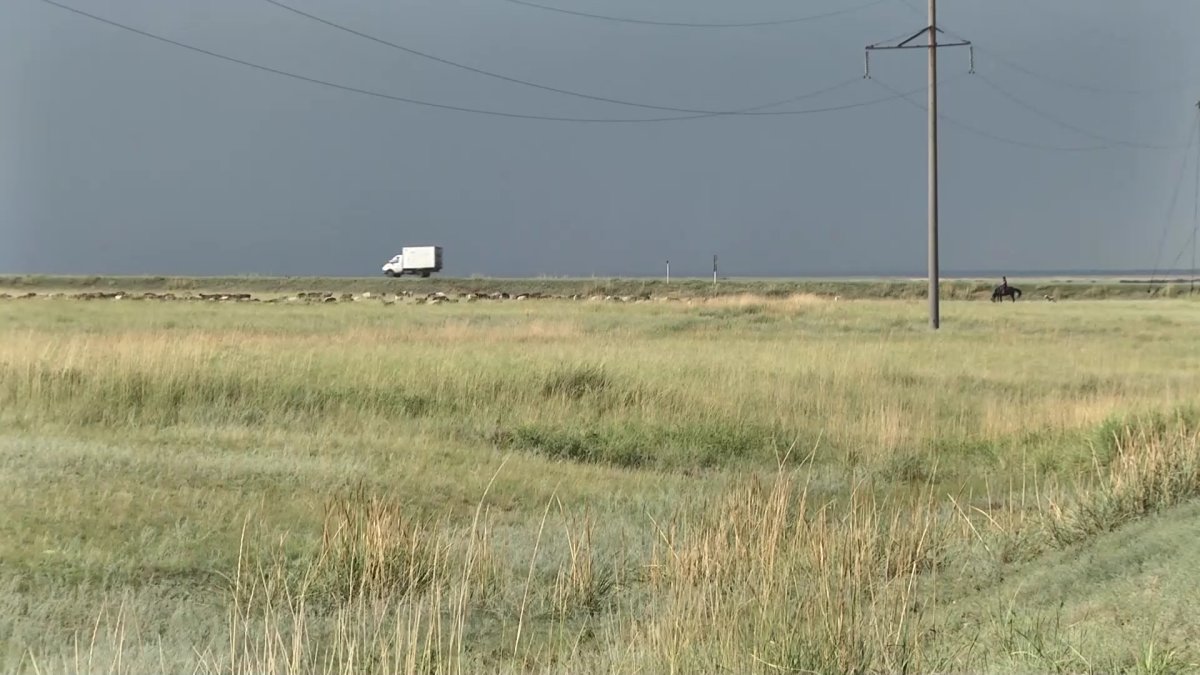 32 тысячи гектаров неиспользуемых земель выявили в Павлодарской области