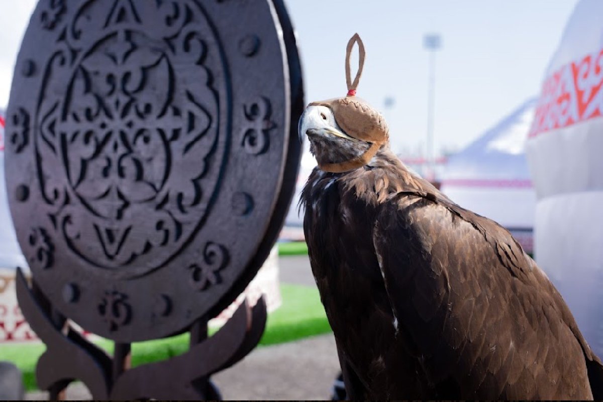 Всемирные игры кочевников в Астане: расписание выступлений спортсменов