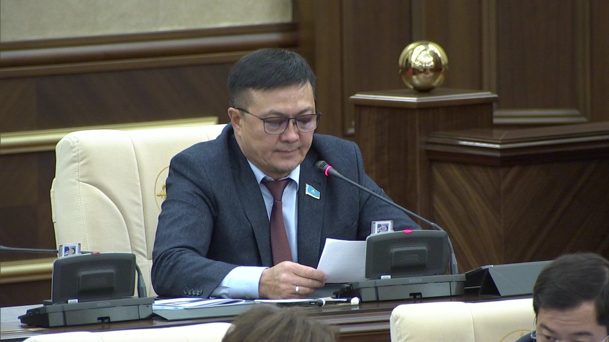 Депутат билет бағасын ретсіз көтеретін әуе компанияларын жазалауды ұсынды