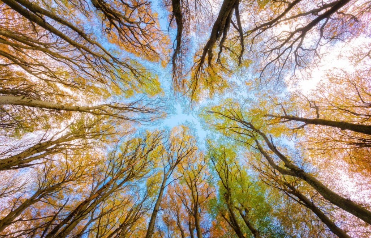 До 30 градусов тепла: прогноз погоды в мегаполисах страны 12 сентября