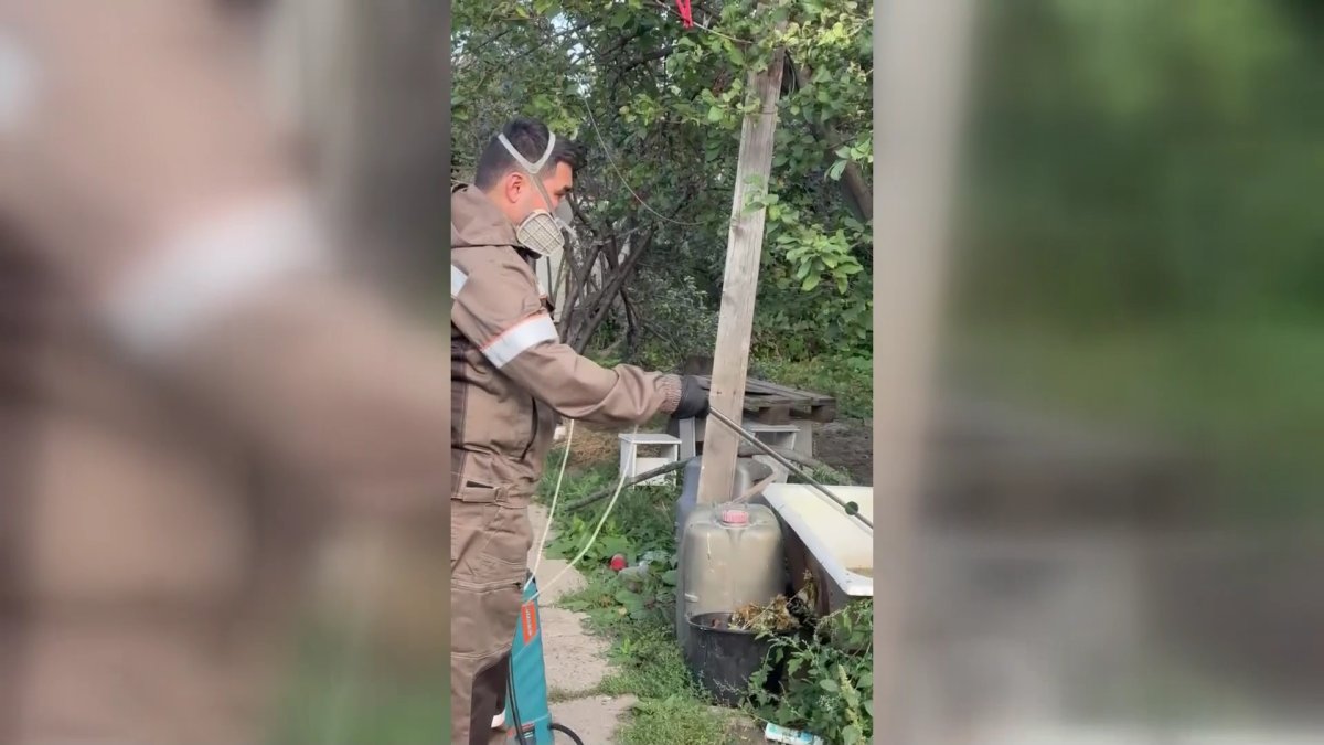 Оралдағы саяжайларда қарақұрт көбейген