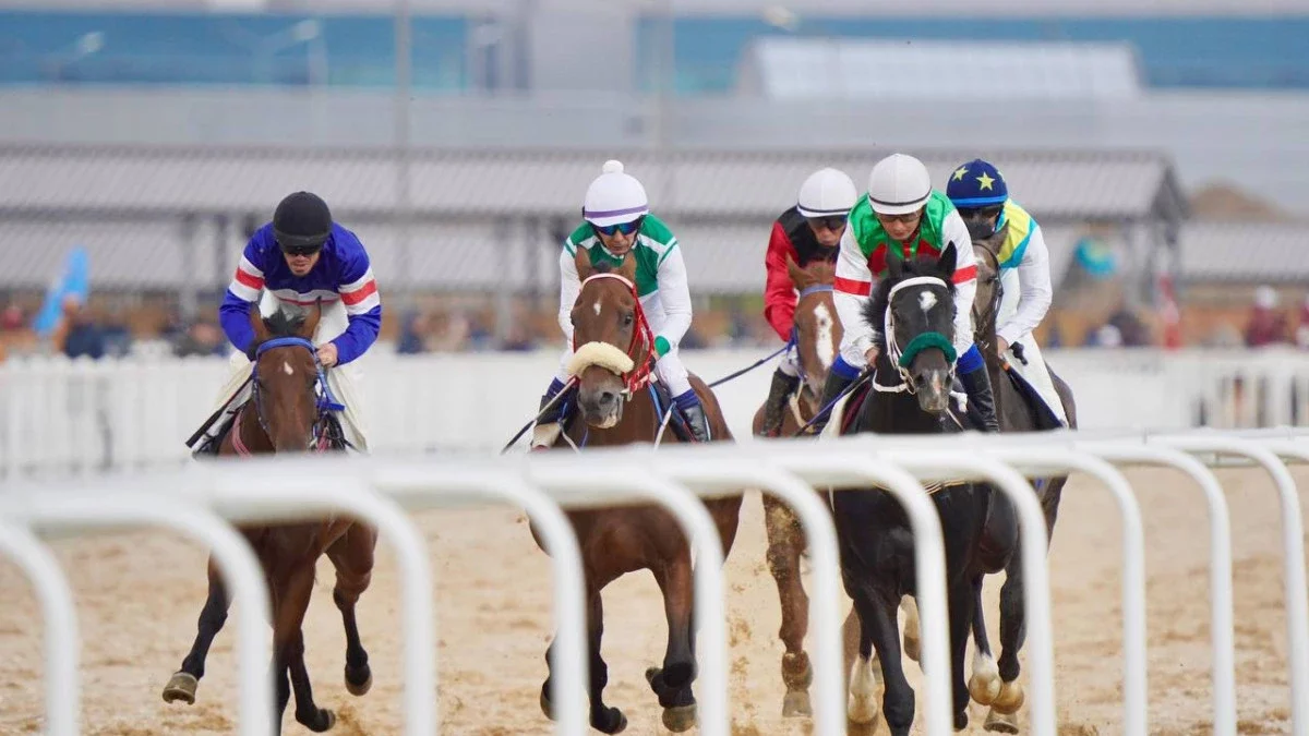 Ұшқыр бәйгеде Қазақстанның үш тұлпары жүлделі орындарды бөлісті