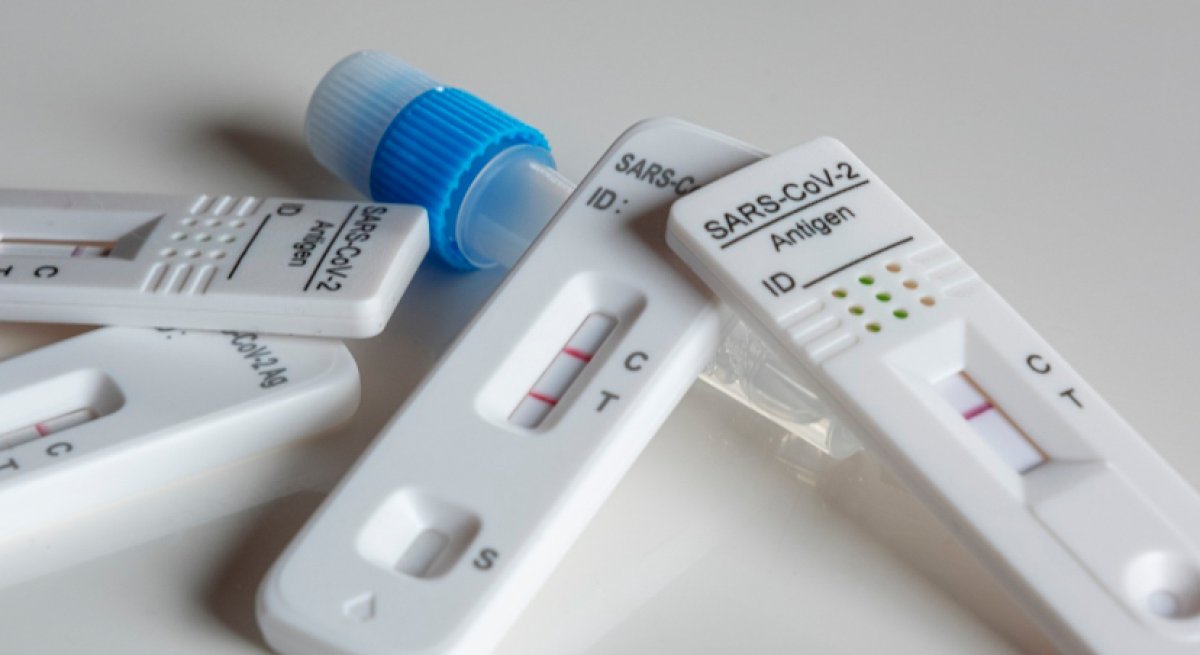 Миру угрожает новый вариант ковида XEC: чем он отличается от предыдущих