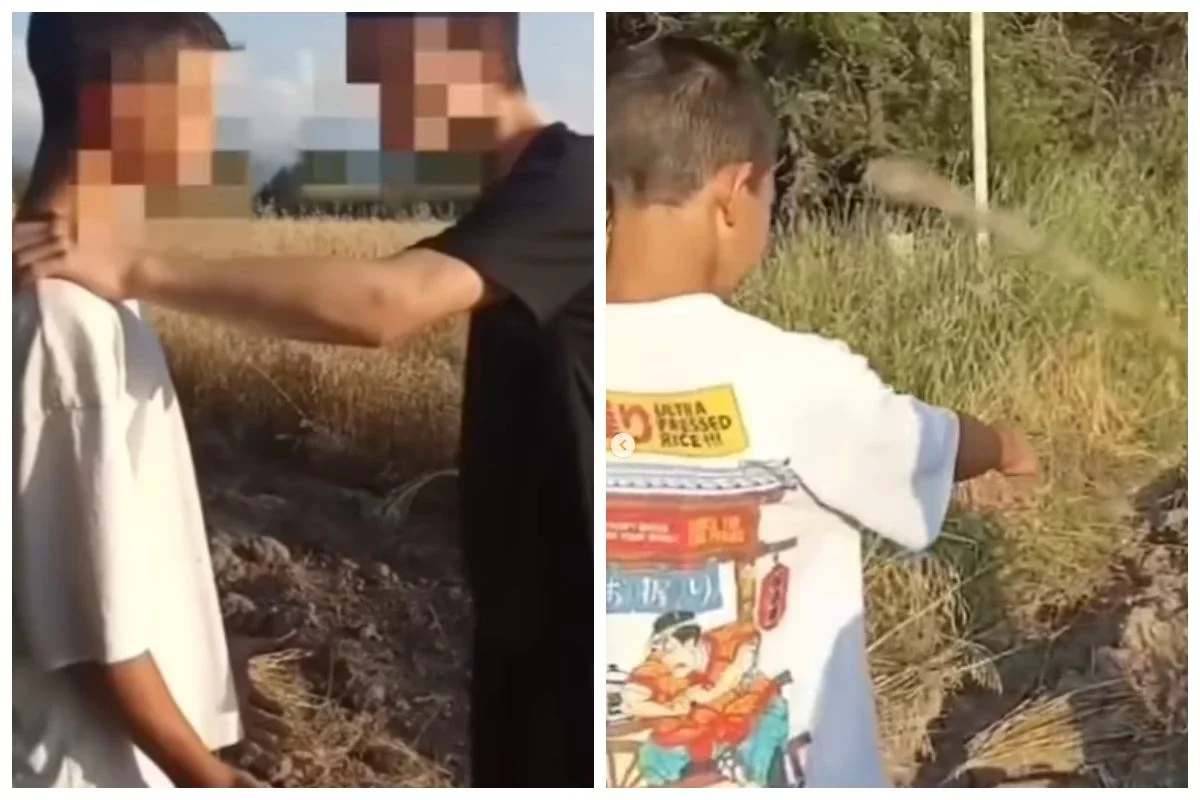 Алматы облысында жасөспірімдер жеткіншекті көптің көзінше ұрып, оны видеоға түсірген