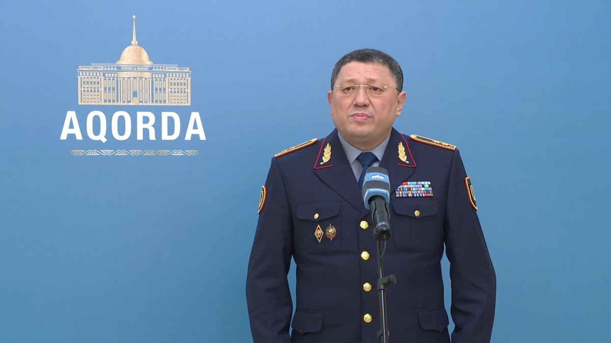 Президент принял министра внутренних дел Ержана Саденова